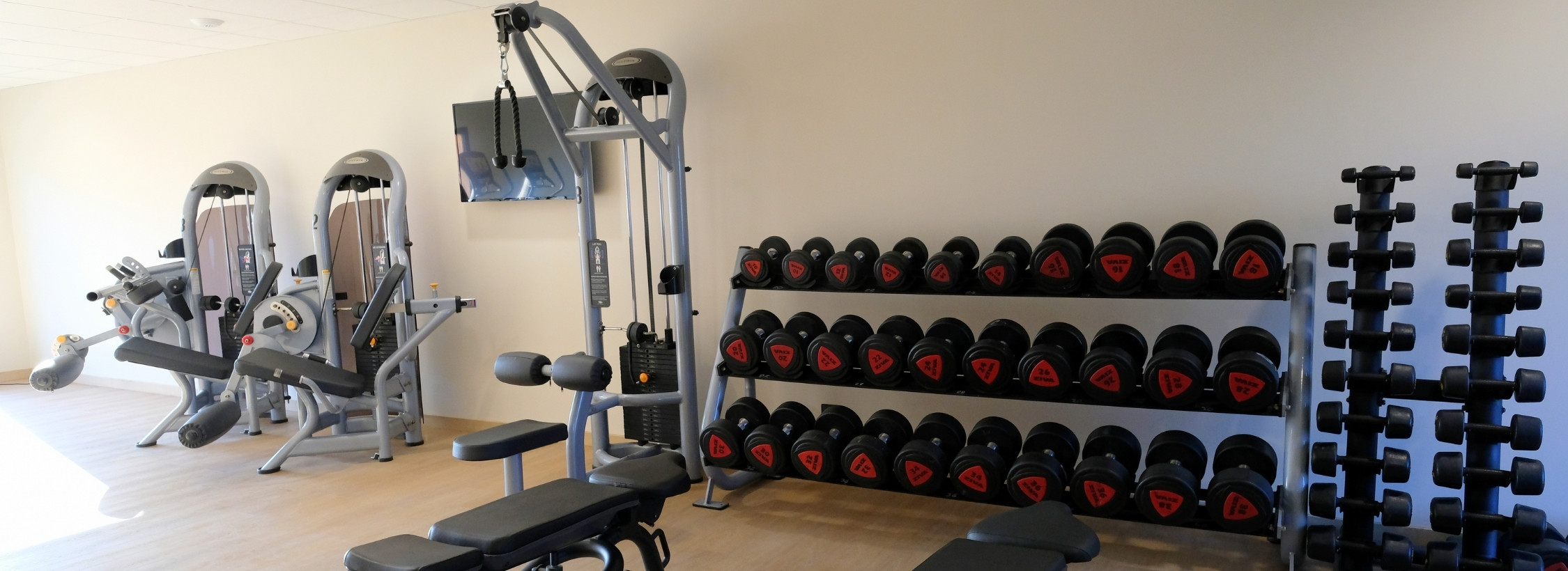 Poids libres et machines Matrix - salle de sport perpignan nord
